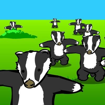 Badger903's profile picture. 