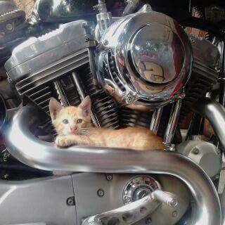 ce09e4e101c549d's profile picture. 