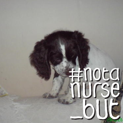 m_rance79's profile picture. proud carer for my beautiful angel, my 18yr old daughter survives with a rare & fatal liver disease & all the crappy problems that go with it!