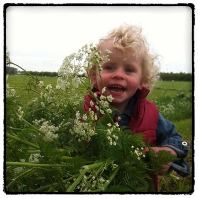 Kinderopvang De Koeienwei laat uw kinderen genieten van het buitenleven op boerderij! 0 tot 12 jaar. Regio 010 Aangesloten bij Verenigde Agrarische Kinderopvang