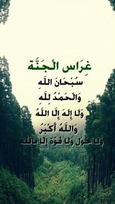 آللهم اسق كل ميت تحت التراب غيثاً يرتوي منه ترابهم وتغسل معهم ذنوبهم اللهم إني ذكرتهم فارزقني بمن يذكرني حين تنقطع بي ألاسباب.