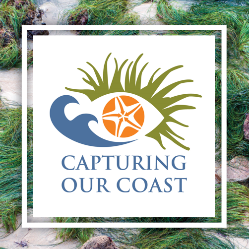 Advancing marine conservation through citizen science. Visit our website to find out more. Download our free CoastXplore app and record coastal usage.