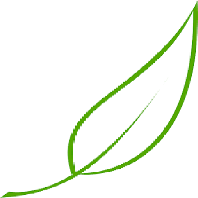 Organic Heirloom teas, sweeteners and herbal balms
