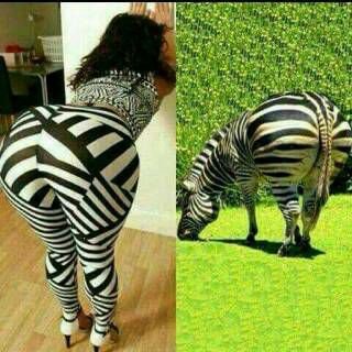 stonewithcold's profile picture. 