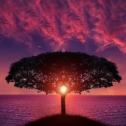 WazzyFox's profile picture. 