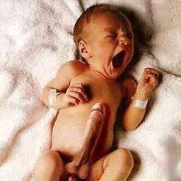 m_zaa1983's profile picture. 