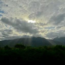 shazi_sid's profile picture. 