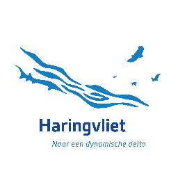 Zes natuurorganisaties slaan met steun van de postcodeloterij de handen ineen voor het Haringvliet. Op naar een dynamische delta!