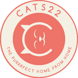 Cattery near Thame - clean & comfortable with really nice staff
(info@cats22.co.uk  01844 201675)
We follow cats!