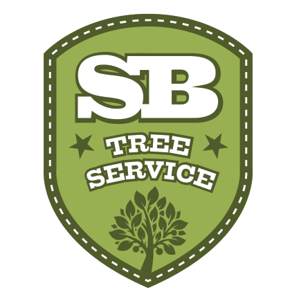 ☎️ 386-320-3056 ▪️ Licensed & Insured ▪️ 100% Satisfaction Guaranteed ▪️ Tree Trimming & Removal ▪️ Stump Grinding ▪️ Brush Clearing ▪️ Mulching