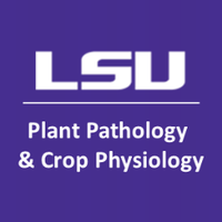 LSU PPCP (@lsuppcp) 's Twitter Profile