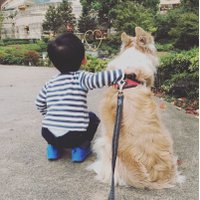 ヒトミ (@soraponmama) 's Twitter Profile