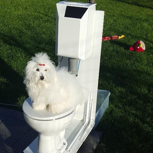 You are wasting 50% of your household water. That'll be easy to prevent soon. #water #watersaving #drought #cop21 #climate #toilet #DIY #household #home #shower