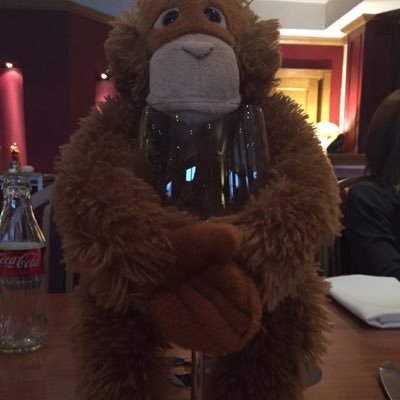 ChappyChopper's profile picture. my views my opinions!