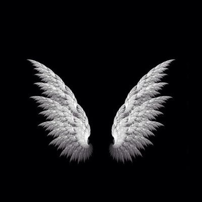 arizalzfaj's profile picture. Rules make money, beers make funny.