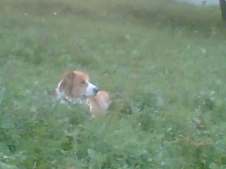 albertopalev's profile picture. 