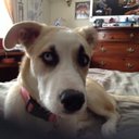 Dale Wolf - @DaleWolf18 - Twitter