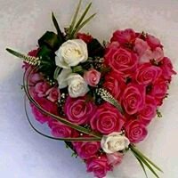 freenet19's profile picture. 