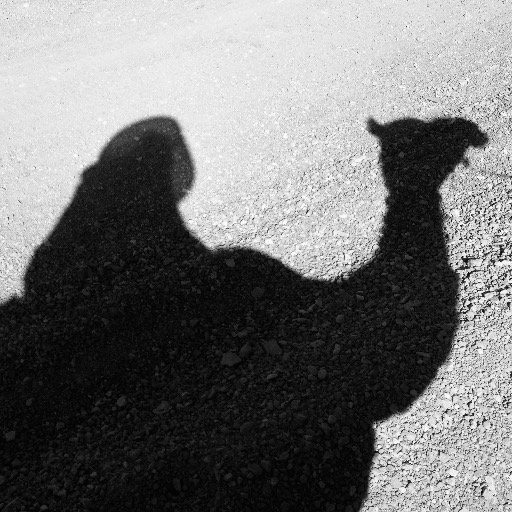 Carolelink1's profile picture. Interested in Art Life Love Politics Planets Relativity: Where are we heading to ? Can I comment ?