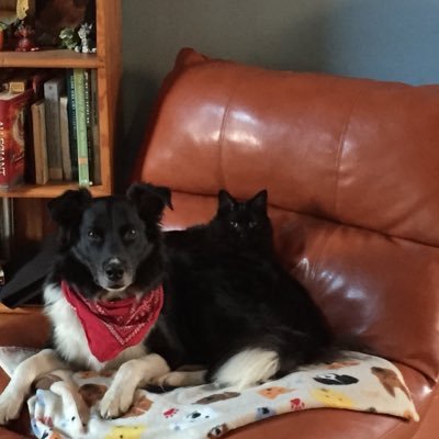 Branwen20's profile picture. 