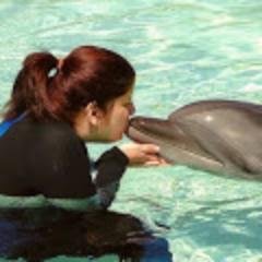 Miss_MindyB's profile picture. Snarky, sarcastic English teacher.  Passion for Edtech.  M.A.Ed.  Progressive. (She/her)