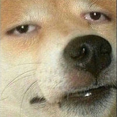 Sadboyremm's profile picture. If she aint over 280 she aint a lady. Layne. SLUMERICAN.