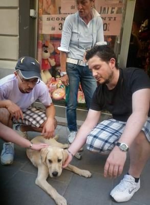 tatodado's profile picture. .. a parlar di sè si rischia di sminuirsi o più spesso di esaltarsi...mi piace vivere il bello laddove ce n'è...