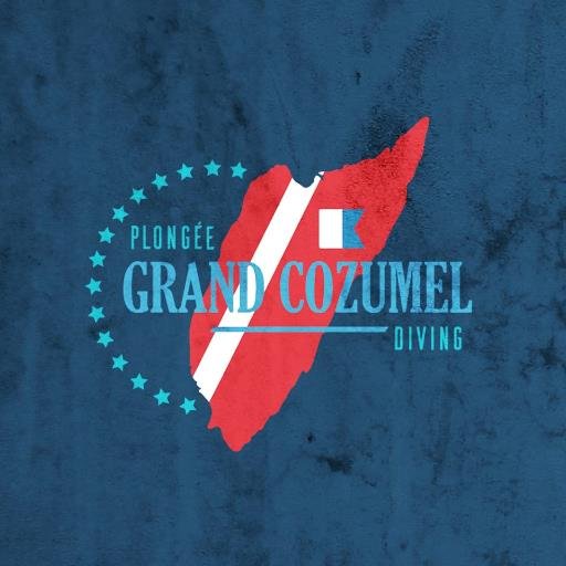 PlongeeCozumel's profile picture. 