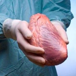 Donacion2015b's profile picture. 