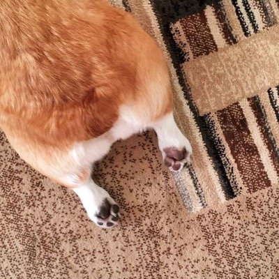 Normally Route Profile