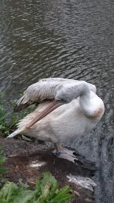 aygo55's profile picture. 