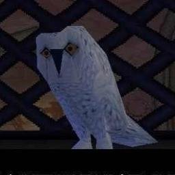 grozaroman's profile picture. 