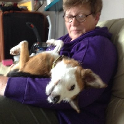 if you see a woman in a wheelchair with a small and sometimes also a large dog you have probably spotted me!