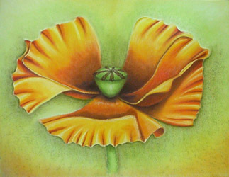 Cheery_Girl's profile picture. 