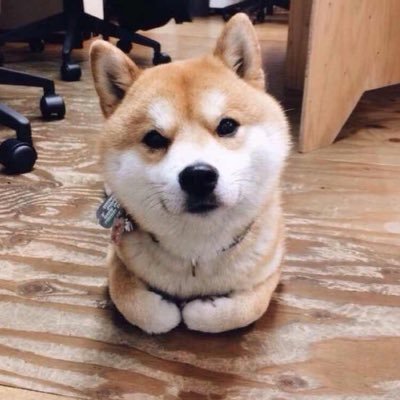 yueyaoer's profile picture. 