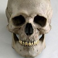Sherlock Bone (@sherlockbone) 's Twitter Profile Photo Sherlock Bone (@sherlockbone) 's Twitter Profile Photo