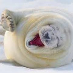 vojimofuwofi's profile picture. 人気のヤバたん動画集をお届けします！