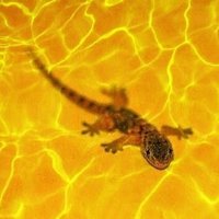 David Gaspar (@davidgaspar_) 's Twitter Profile Photo