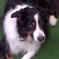 Judith Thorne (@judithhurd24) 's Twitter Profile Photo Judith Thorne (@judithhurd24) 's Twitter Profile Photo