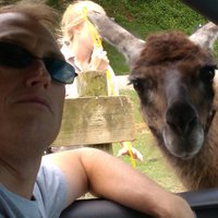 Toby Biederman (@tobybiederman) 's Twitter Profile