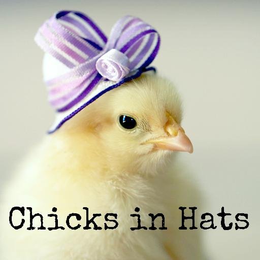 Chicks in Hats!