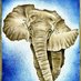 solomon (@solinaaddis) Twitter profile photo solomon (@solinaaddis) Twitter profile photo