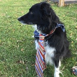 TheLoyalShadow's profile picture. Head of Social Development for Loyalty Liquors