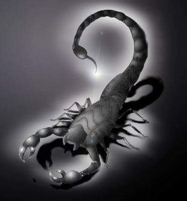 wecOyWNBZ70Vxct's profile picture. 