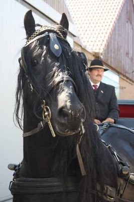 bhagenv's profile picture. boer