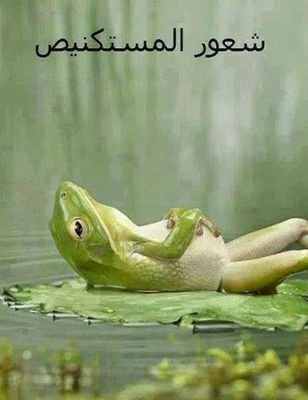 ya123466242331's profile picture. 