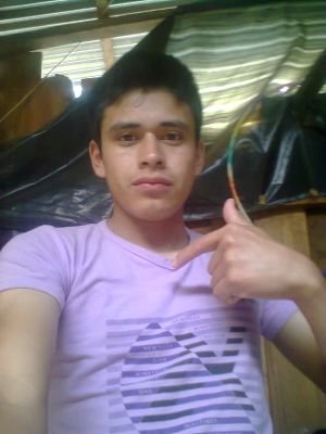 herman_camus's profile picture. nací el 14 de noviembre del 1997