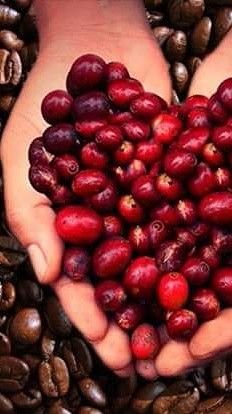 cyl2007's profile picture. 