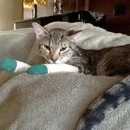 taken_by_paws's profile picture. 