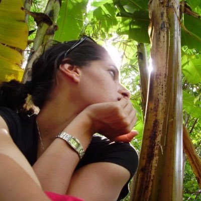 Hanaan Sarhan Profile